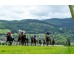  Carrera: P.Ondarreta Taberna Caballo: Zacarias Monta: R.N.Valle